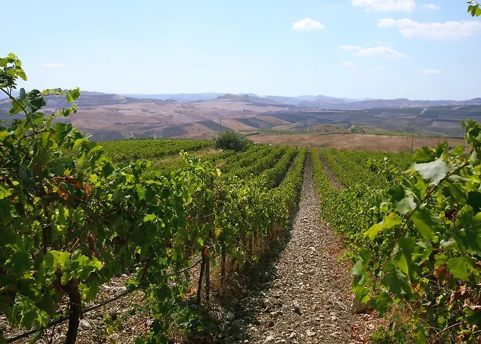 Θέρετρο Feudo San Martino 4*